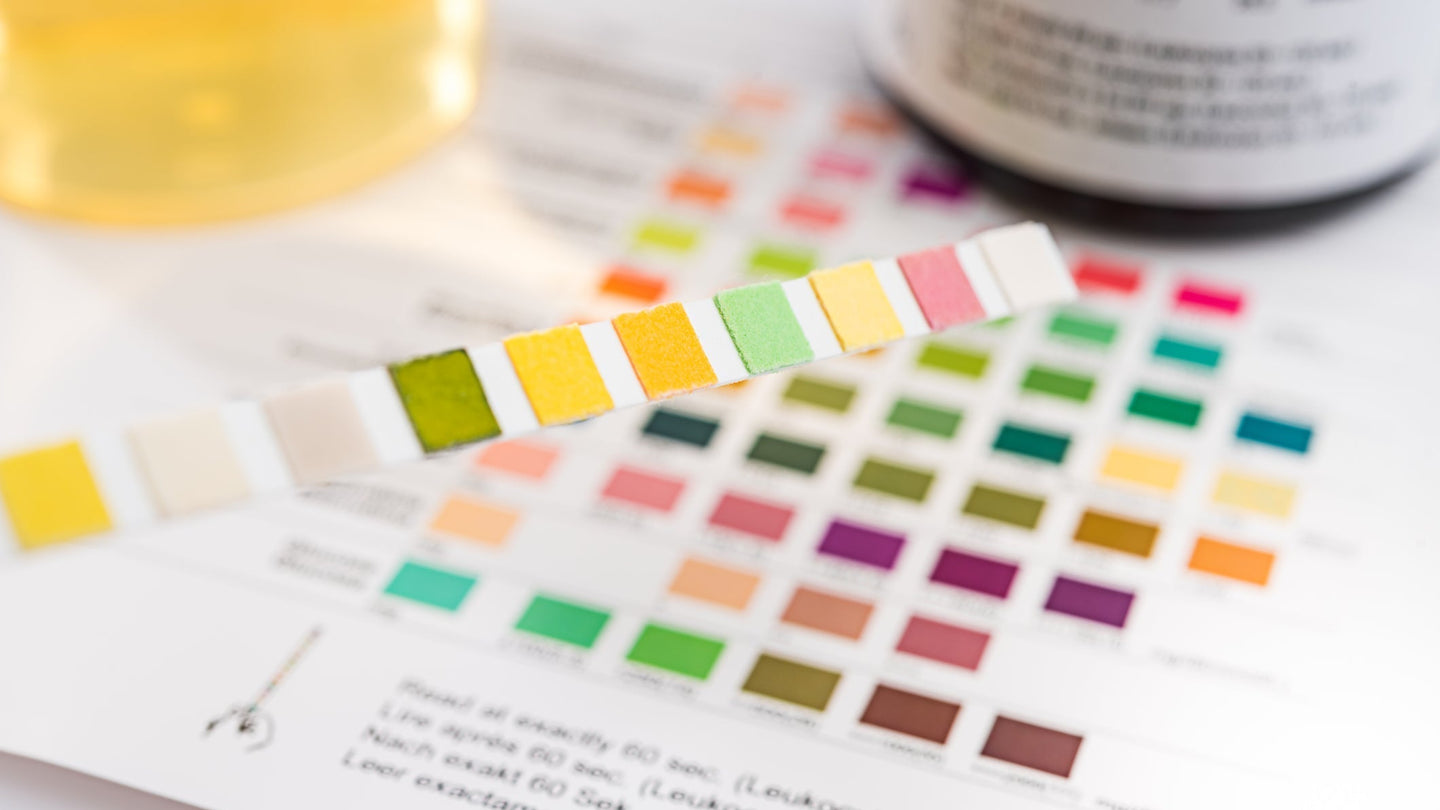 THC drinks show up on drug tests