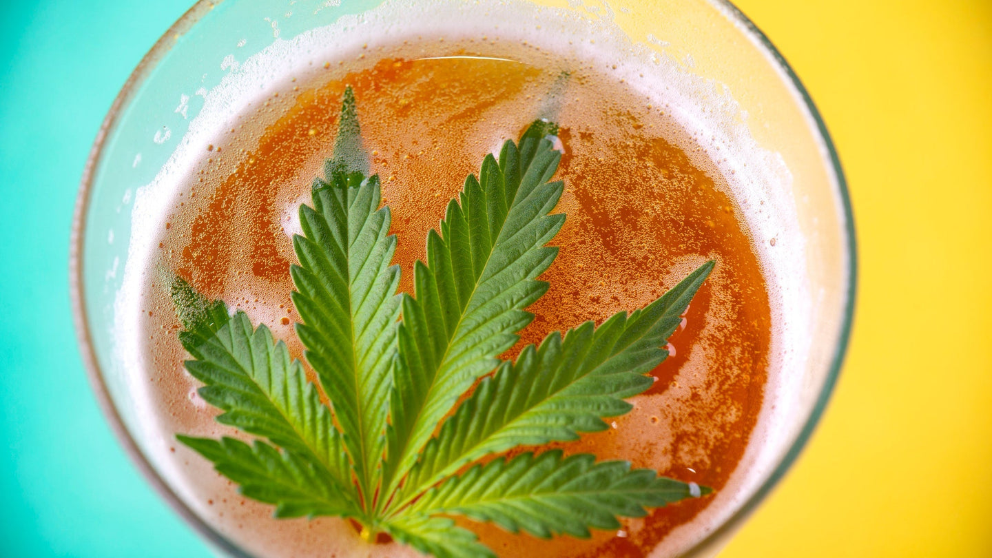 THC drinks are superior to beer