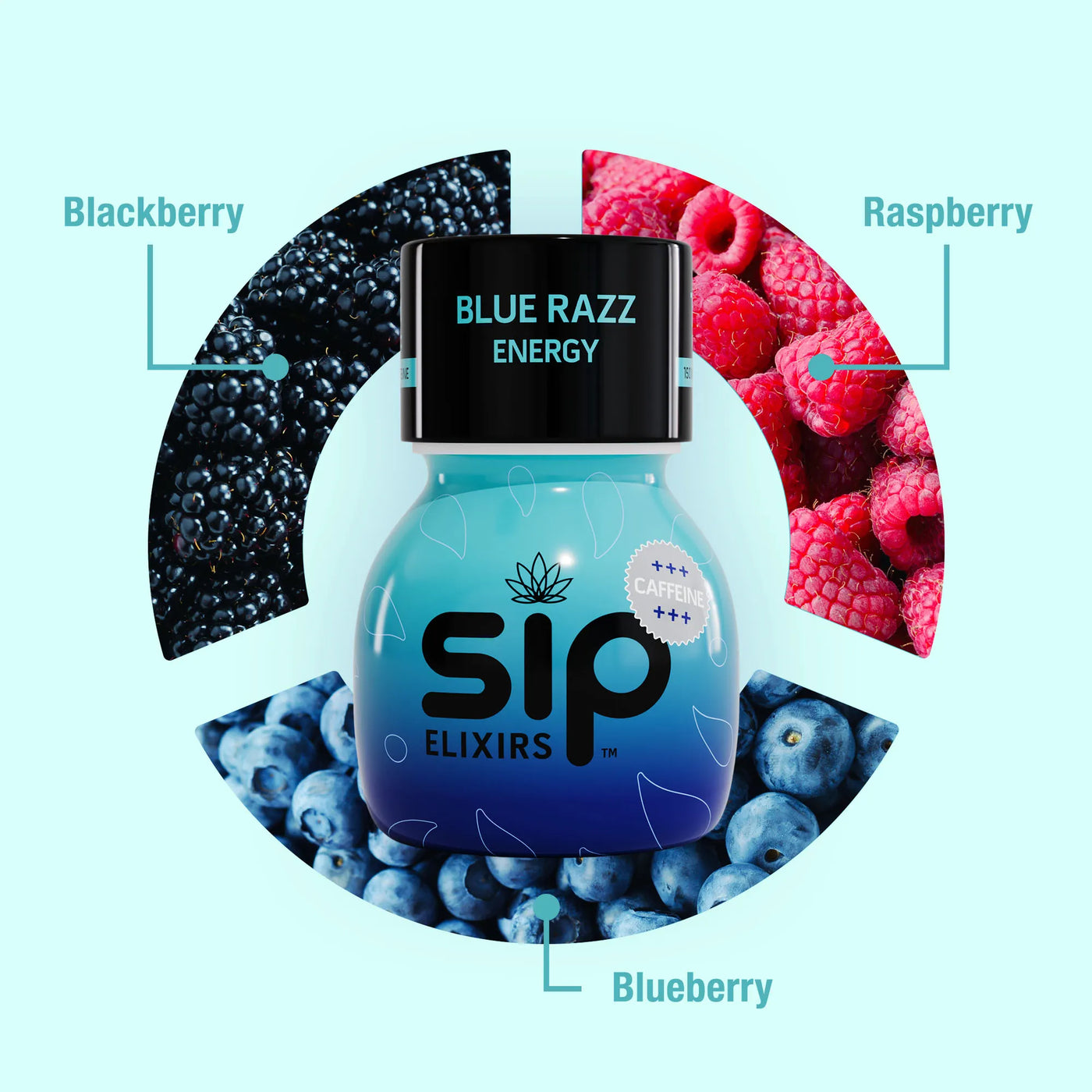 Sip Elixirs Blue Razz Energy bottle surrounded by blackberries, raspberries, and blueberries on a light blue background.