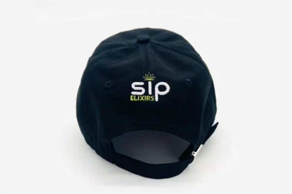 Stay Highdrated Black Sip Elixirs Dad Hat Back